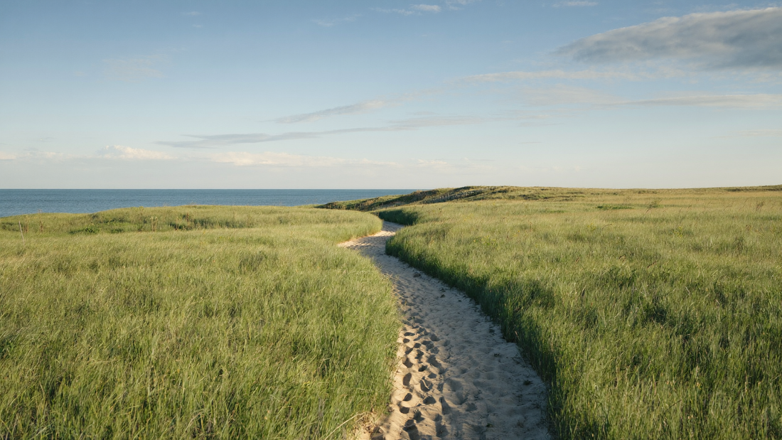 Brede duinen met een zandpad tussen helmgras en een weids uitzicht op de zee onder een lichte lucht