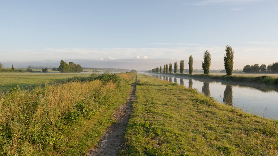 Een brede Nederlandse rivierdijk met een smal pad langs groene weilanden en een rustige rivier in de ochtend, met populieren in de verte