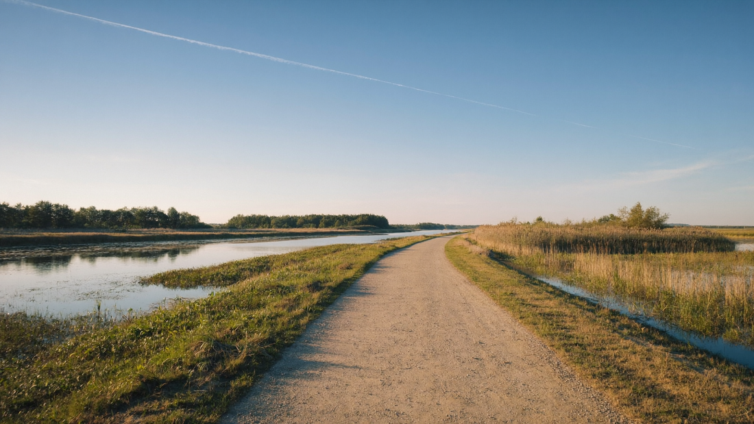 Een pad langs stil water in de late middagzon met riet langs de oever